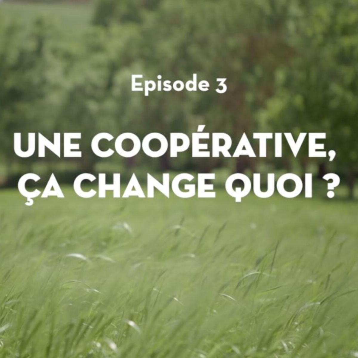 Que Biocoop soit une coopérative, ça change quoi concrètement pour moi ? Que Biocoop soit une coopérative, ça change quoi concrètement pour moi ?