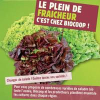 Changez de salade ! Goûtez toutes nos variétés ! Changez de salade ! Goûtez toutes nos variétés !