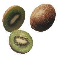 LE KIWI EST A L'HONNEUR CE MOIS-CI CHEZ BIOCOOP LE KIWI EST A L'HONNEUR CE MOIS-CI CHEZ BIOCOOP