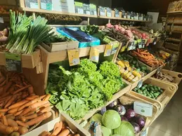 40-biocoop-marseille-castellane-magasin-bio-salade-carotte-fruit-legume-saison-local-producteur.webp